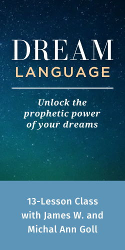 Dream Language